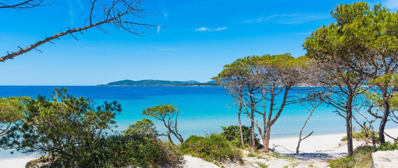 A Casa Di Mamma Διαμέρισμα Αλγκέρο Εξωτερικό φωτογραφία